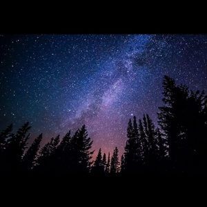 Meet your Posher, Danica